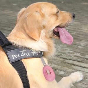dispenser-sacchetti-cane-ovale