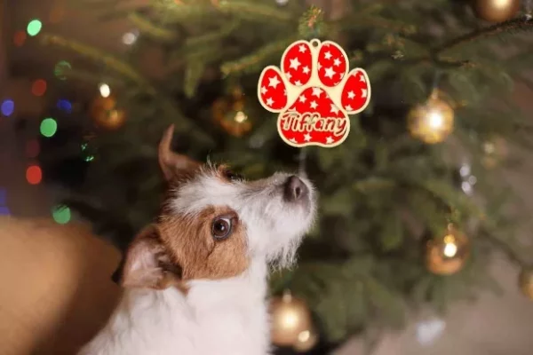 Decorazione albero Natale a forma di zampa, personalizzabile con il nome del tuo amico a 4 zampe